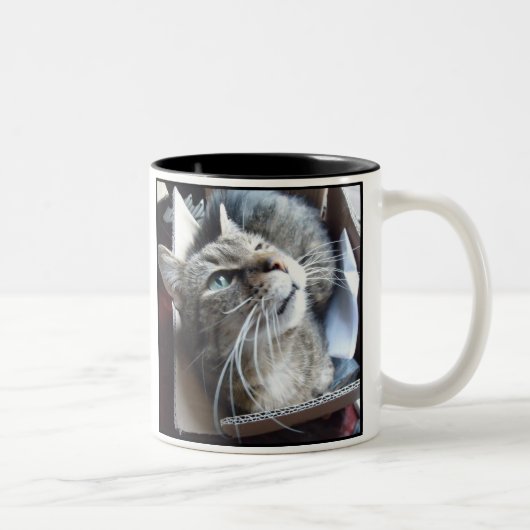 Katze des Kasten-O Zweifarbige Tasse (Rechts)