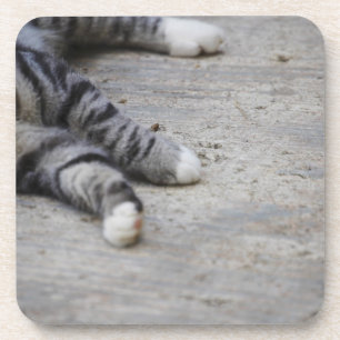 Katze, die auf Bürgersteig legt Untersetzer