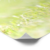 Katze, die auf dem Grasfeld läuft. Poster (Ecke)