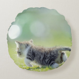 Katze, die auf dem Grasfeld läuft. Rundes Kissen