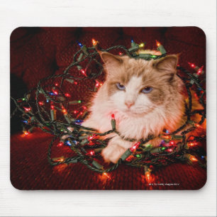 Katze, die auf einem Ball der Weihnachtslichter Mousepad