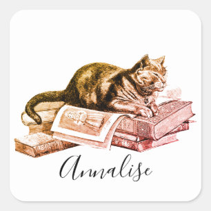 Katze, die auf einem Stapel Bücher liegt Quadratischer Aufkleber
