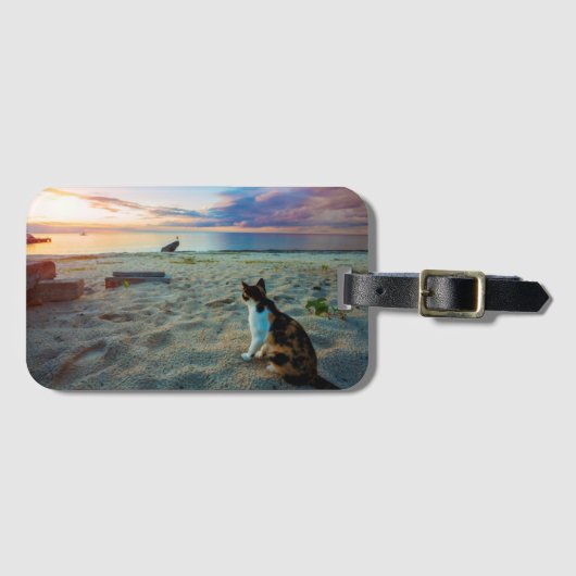 Katze, die auf einem Strand sitzt Gepäckanhänger (Vorderseite (Horizontal))