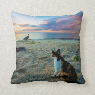 Katze, die auf einem Strand sitzt Kissen