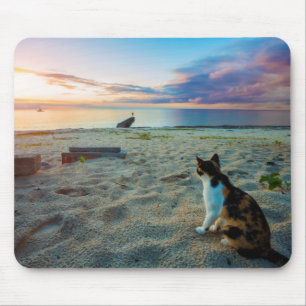 Katze, die auf einem Strand sitzt Mousepad