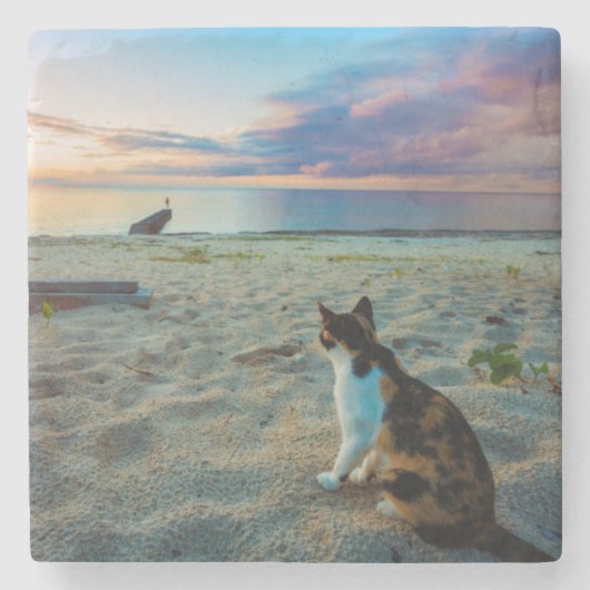Katze, die auf einem Strand sitzt Steinuntersetzer (Vorderseite)