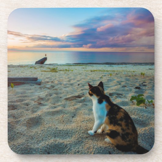 Katze, die auf einem Strand sitzt Untersetzer (Vorderseite)