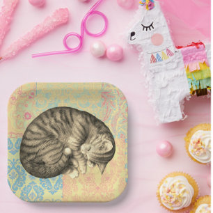 Katze, die auf Quilt niedlich schläft Pappteller