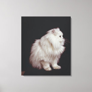 Katze, die auf schwarzem Hintergrund, Nahaufnahme Leinwanddruck