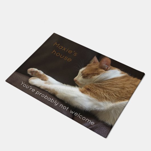 Katze, die auf Sofa schläft Fußmatte (Schrägansicht)