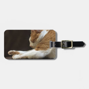 Katze, die auf Sofa schläft Gepäckanhänger
