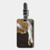Katze, die auf Sofa schläft Gepäckanhänger (Vorderseite vertikal)