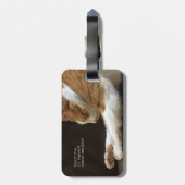 Katze, die auf Sofa schläft Gepäckanhänger (Rückseite vertikal)