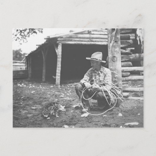 Katze, die aus einer Kaffeemaschine isst. Postkarte (Vorderseite)