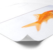 Katze, die den Goldfisch-Druck anstarrt Poster (Ecke)