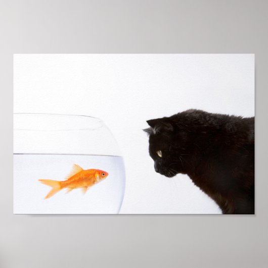 Katze, die den Goldfisch-Druck anstarrt Poster (Vorne)
