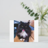 Katze, die die Zunge heraushält Postkarte (Stehend Vorderseite)