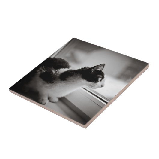 Katze, die draußen schaut fliese (Seite)