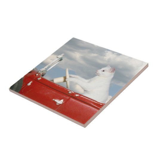 Katze, die ein Auto fährt Fliese (Seite)