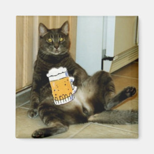 Katze, die ein Bier isst Magnet