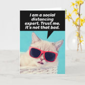 Katze, die eine sozial verteilende Expertin ist - Karte (Gelbe Blume)