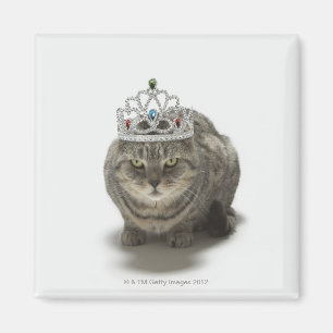 Katze, die eine Tiara trägt Magnet