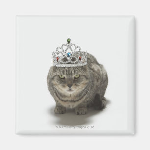 Katze, die eine Tiara trägt Magnet