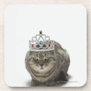 Katze, die eine Tiara trägt Untersetzer