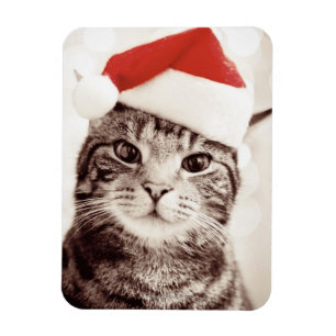 Katze, die einen roten Weihnachtshut trägt Magnet