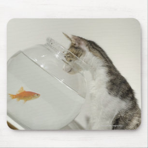 Katze, die Fische im fishbowl betrachtet Mousepad