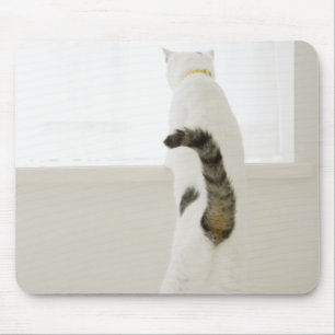Katze, die heraus Fenster, hintere Ansicht schaut Mousepad