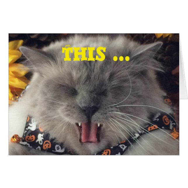 Katze, die heraus zur Musik, Karte schaukelt (Vorderseite (Horizontal))