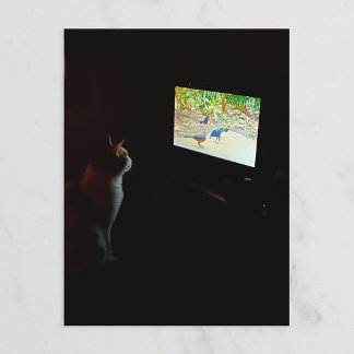 Katze, die ihre Bildschirmzeit liebt Postkarte