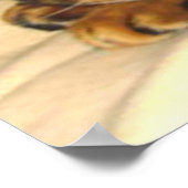 Katze, die im geflochtenen Stuhl schläft Poster (Ecke)