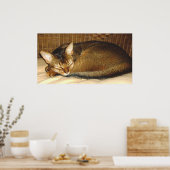 Katze, die im geflochtenen Stuhl schläft Poster (Küche)