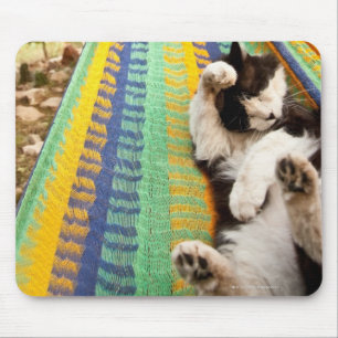 Katze, die in der mexikanischen Mayahängematte Mousepad