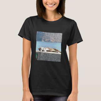 Katze, die in der Sonne angenehm aussieht_001 T-Shirt