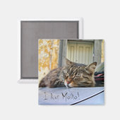 Katze, die in einem Auto schläft Magnet (Vorderseite/Rückseite)