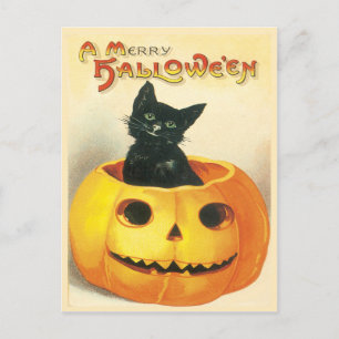 Katze, die in einer Vintagen Kürbispostkarte sitzt Postkarte