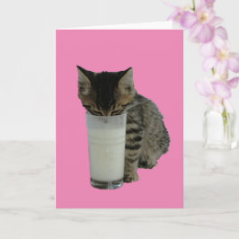 Katze, die Milch aus einem Glas stahl Karte
