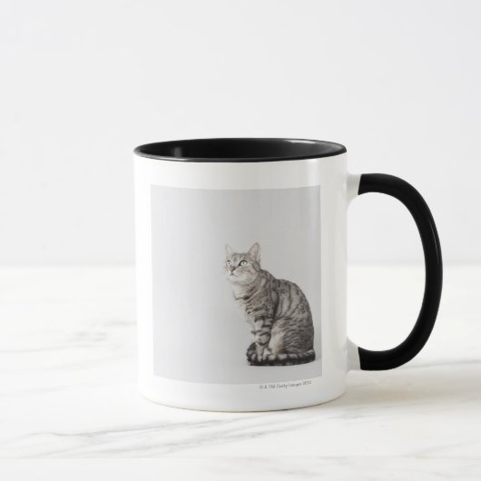 Katze, die oben schaut tasse (Rechts)