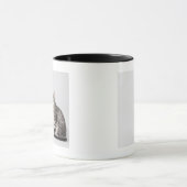 Katze, die oben schaut tasse (Zentrum)