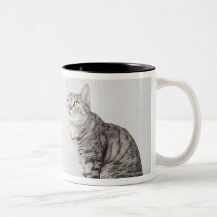 Katze, die oben schaut zweifarbige tasse