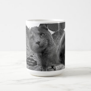 Katze, die Purrfect Selfie Tasse nimmt