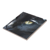 Katze, die Sie mustert Fliese (Seite)