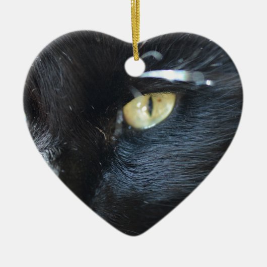 Katze, die Sie mustert Keramik Ornament (Vorne)