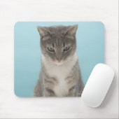 Katze, die Spielzeugmaus auf Teppich anschaut Mousepad (Mit Mouse)