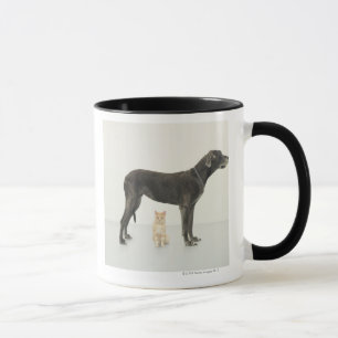 Katze, die unter Deutscher Dogge sitzt Tasse