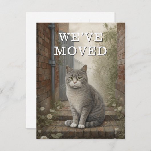 Katze, die wir verschoben haben Ankündigung (Vorne/Hinten)
