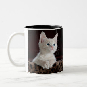 Katze Doppel-Tasse Zweifarbige Tasse